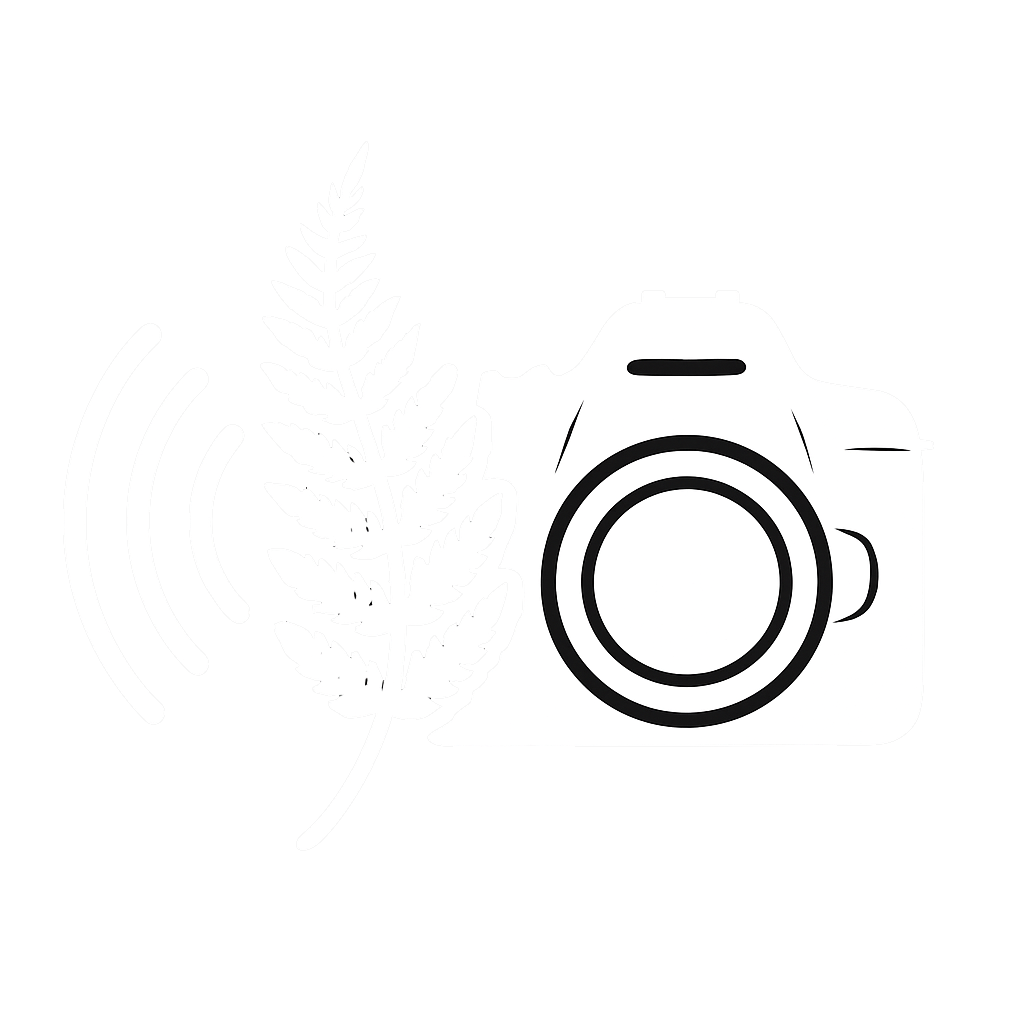 Echo Fern Photos
